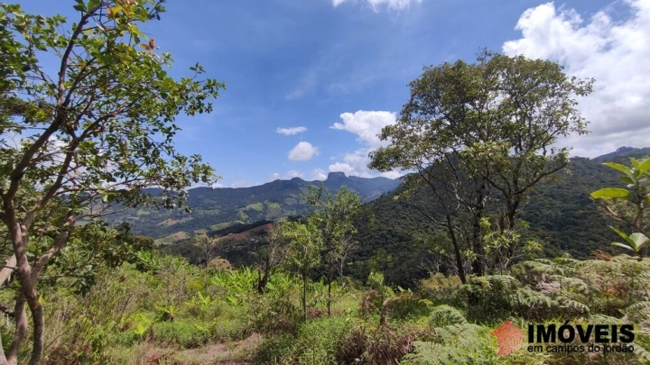 Terreno/Lote Residencial para Venda - Campos do Jordão, Alpes de Campos do Jordão - REF: 2704 Imagem da galeria de fotos: Terreno/Lote Residencial para Venda - Campos do Jordão, Alpes de Campos do Jordão - REF: 2704