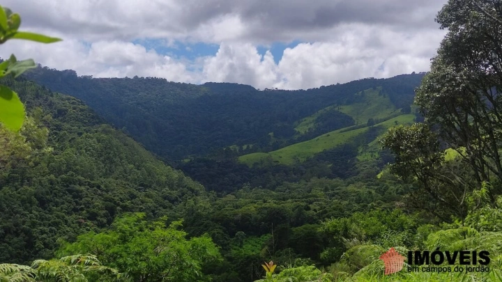 Terreno/Lote Residencial para Venda - Campos do Jordão, Alpes de Campos do Jordão - REF: 2704 Imagem da galeria de fotos: Terreno/Lote Residencial para Venda - Campos do Jordão, Alpes de Campos do Jordão - REF: 2704