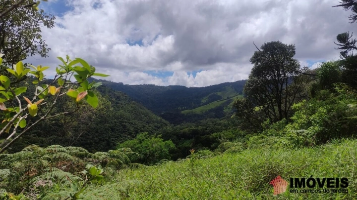 Terreno/Lote Residencial para Venda - Campos do Jordão, Alpes de Campos do Jordão - REF: 2704 Imagem da galeria de fotos: Terreno/Lote Residencial para Venda - Campos do Jordão, Alpes de Campos do Jordão - REF: 2704