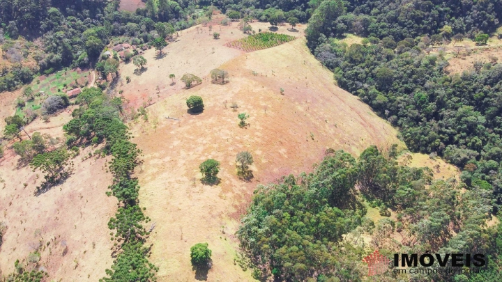 Terreno/Lote Residencial para Venda - Campos do Jordão, Alpes de Campos do Jordão - REF: 1999 Imagem da galeria de fotos: Terreno/Lote Residencial para Venda - Campos do Jordão, Alpes de Campos do Jordão - REF: 1999