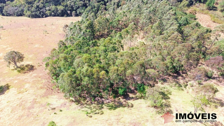 Terreno/Lote Residencial para Venda - Campos do Jordão, Alpes de Campos do Jordão - REF: 1999 Imagem da galeria de fotos: Terreno/Lote Residencial para Venda - Campos do Jordão, Alpes de Campos do Jordão - REF: 1999