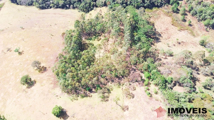 Terreno/Lote Residencial para Venda - Campos do Jordão, Alpes de Campos do Jordão - REF: 1999 Imagem da galeria de fotos: Terreno/Lote Residencial para Venda - Campos do Jordão, Alpes de Campos do Jordão - REF: 1999