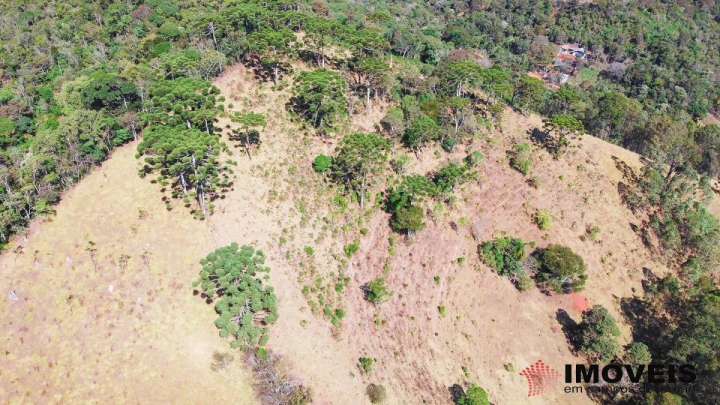 Terreno/Lote Residencial para Venda - Campos do Jordão, Alpes de Campos do Jordão - REF: 1999 Imagem da galeria de fotos: Terreno/Lote Residencial para Venda - Campos do Jordão, Alpes de Campos do Jordão - REF: 1999