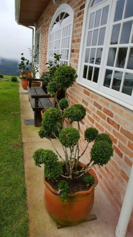 Casa Residencial para Venda - Campos do Jordão, Água Santa - REF: 1637 Imagem da galeria de fotos: Casa Residencial para Venda - Campos do Jordão, Água Santa - REF: 1637