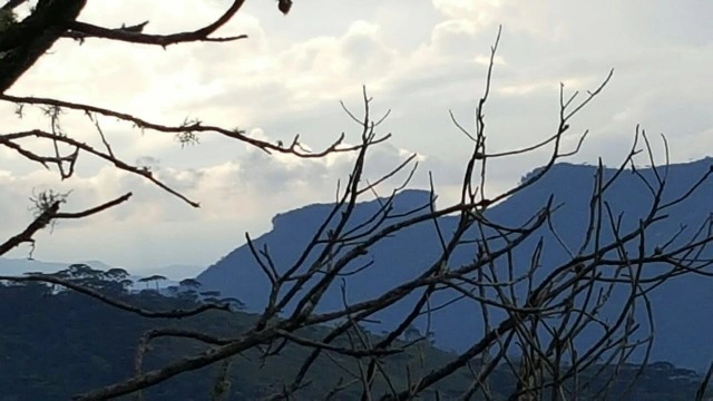 Casa Residencial para Venda - Campos do Jordão, Água Santa - REF: 1637 Imagem da galeria de fotos: Casa Residencial para Venda - Campos do Jordão, Água Santa - REF: 1637