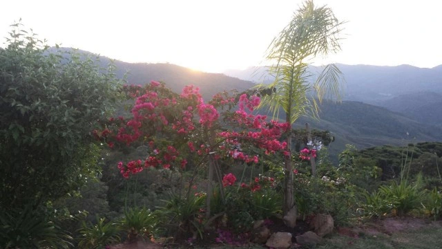 Casa Residencial para Venda - Campos do Jordão, Água Santa - REF: 1637 Imagem da galeria de fotos: Casa Residencial para Venda - Campos do Jordão, Água Santa - REF: 1637