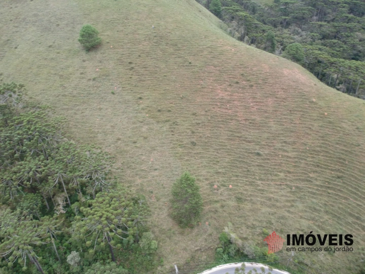 Área para Incorporação Residencial para Venda - Campos do Jordão, Descansópolis - REF: 2260 Imagem da galeria de fotos: Área para Incorporação Residencial para Venda - Campos do Jordão, Descansópolis - REF: 2260