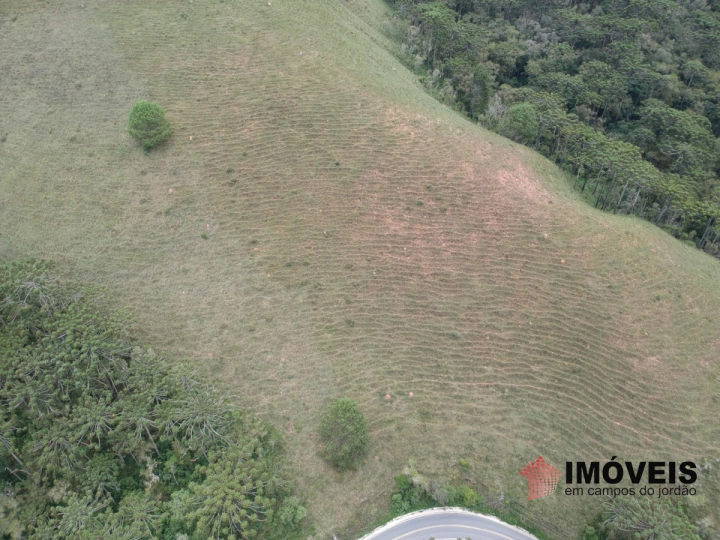 Área para Incorporação Residencial para Venda - Campos do Jordão, Descansópolis - REF: 2260 Imagem da galeria de fotos: Área para Incorporação Residencial para Venda - Campos do Jordão, Descansópolis - REF: 2260