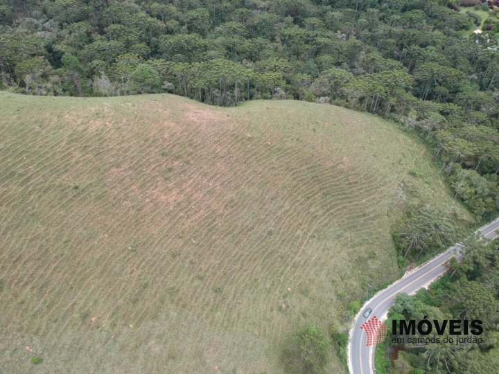 Área para Incorporação Residencial para Venda - Campos do Jordão, Descansópolis - REF: 2260 Imagem da galeria de fotos: Área para Incorporação Residencial para Venda - Campos do Jordão, Descansópolis - REF: 2260