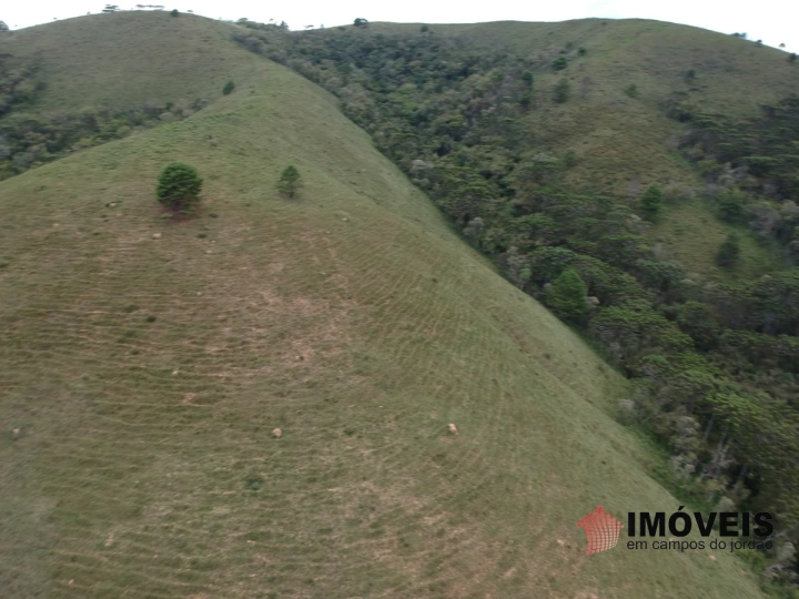 Área para Incorporação Residencial para Venda - Campos do Jordão, Descansópolis - REF: 2260 Imagem da galeria de fotos: Área para Incorporação Residencial para Venda - Campos do Jordão, Descansópolis - REF: 2260