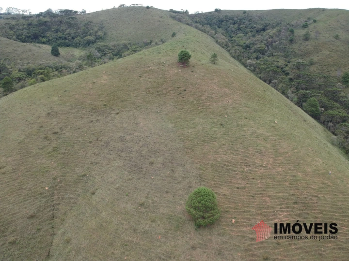 Área para Incorporação Residencial para Venda - Campos do Jordão, Descansópolis - REF: 2260 Imagem da galeria de fotos: Área para Incorporação Residencial para Venda - Campos do Jordão, Descansópolis - REF: 2260