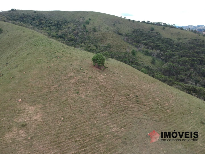 Área para Incorporação Residencial para Venda - Campos do Jordão, Descansópolis - REF: 2260 Imagem da galeria de fotos: Área para Incorporação Residencial para Venda - Campos do Jordão, Descansópolis - REF: 2260