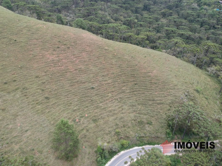 Área para Incorporação Residencial para Venda - Campos do Jordão, Descansópolis - REF: 2260 Imagem da galeria de fotos: Área para Incorporação Residencial para Venda - Campos do Jordão, Descansópolis - REF: 2260