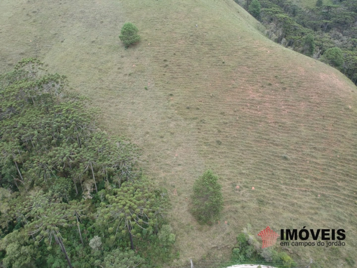 Área para Incorporação Residencial para Venda - Campos do Jordão, Descansópolis - REF: 2260 Imagem da galeria de fotos: Área para Incorporação Residencial para Venda - Campos do Jordão, Descansópolis - REF: 2260