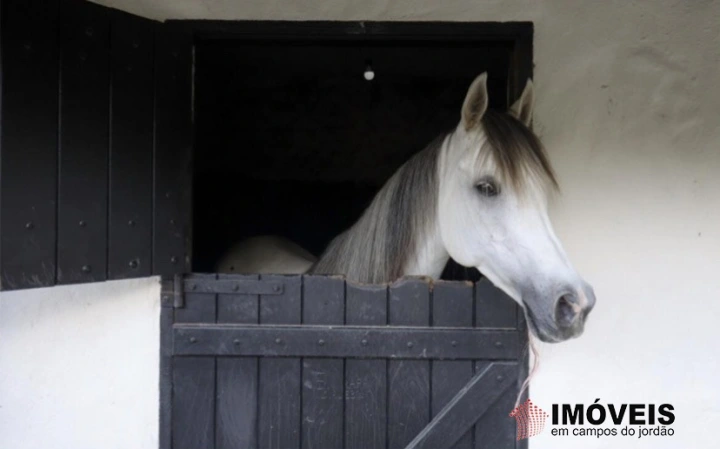 Haras Residencial para Venda - Campos do Jordão, Parque das Águas Claras - REF: 2267 Imagem da galeria de fotos: Haras Residencial para Venda - Campos do Jordão, Parque das Águas Claras - REF: 2267