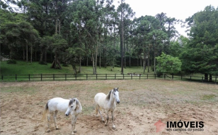 Haras Residencial para Venda - Campos do Jordão, Parque das Águas Claras - REF: 2267 Imagem da galeria de fotos: Haras Residencial para Venda - Campos do Jordão, Parque das Águas Claras - REF: 2267
