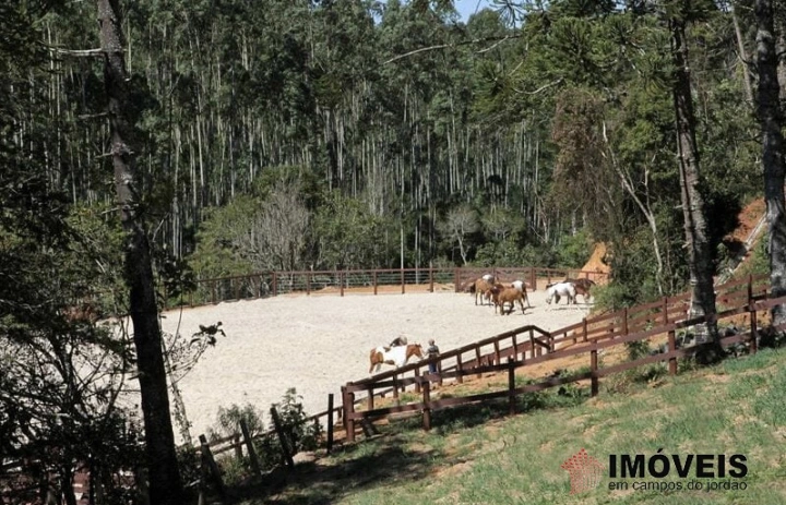 Haras Rural para Venda - Campos do Jordão, São Benedito - REF: 2290 Imagem da galeria de fotos: Haras Rural para Venda - Campos do Jordão, São Benedito - REF: 2290