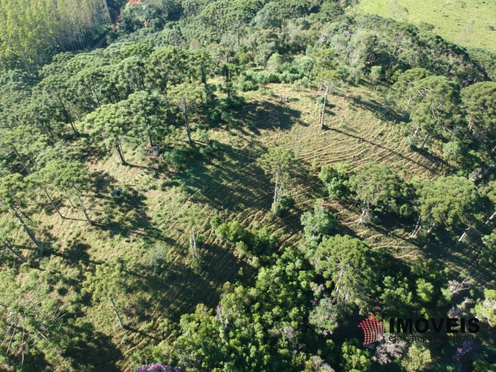 Haras Rural para Venda - Campos do Jordão, São Benedito - REF: 2290 Imagem da galeria de fotos: Haras Rural para Venda - Campos do Jordão, São Benedito - REF: 2290
