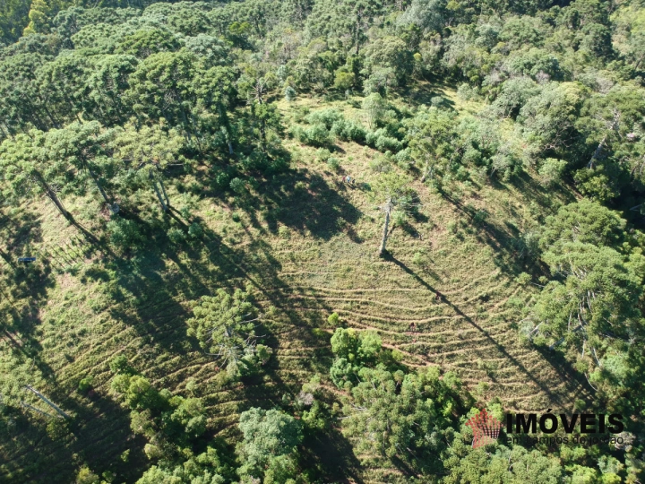 Haras Rural para Venda - Campos do Jordão, São Benedito - REF: 2290 Imagem da galeria de fotos: Haras Rural para Venda - Campos do Jordão, São Benedito - REF: 2290