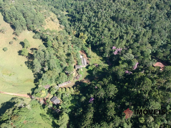 Haras Rural para Venda - Campos do Jordão, São Benedito - REF: 2290 Imagem da galeria de fotos: Haras Rural para Venda - Campos do Jordão, São Benedito - REF: 2290