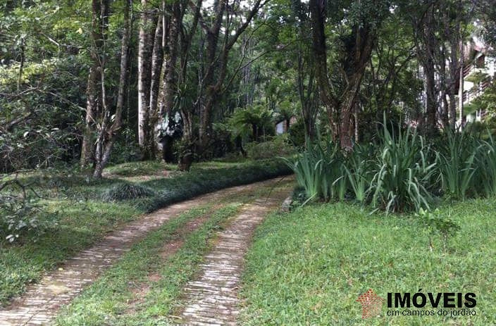Haras Rural para Venda - Campos do Jordão, São Benedito - REF: 2290 Imagem da galeria de fotos: Haras Rural para Venda - Campos do Jordão, São Benedito - REF: 2290
