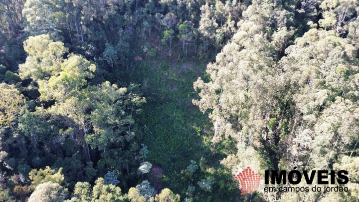 Terreno/Lote Residencial para Venda - Campos do Jordão, Jardim imperial - REF: 2793 Imagem da galeria de fotos: Terreno/Lote Residencial para Venda - Campos do Jordão, Jardim imperial - REF: 2793