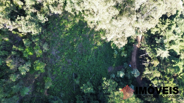 Terreno/Lote Residencial para Venda - Campos do Jordão, Jardim imperial - REF: 2793 Imagem da galeria de fotos: Terreno/Lote Residencial para Venda - Campos do Jordão, Jardim imperial - REF: 2793