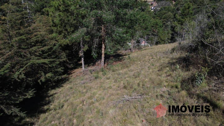 Terreno/Lote Residencial para Venda - Campos do Jordão, Vila Chantal - REF: TE0104 Imagem da galeria de fotos: Terreno/Lote Residencial para Venda - Campos do Jordão, Vila Chantal - REF: TE0104