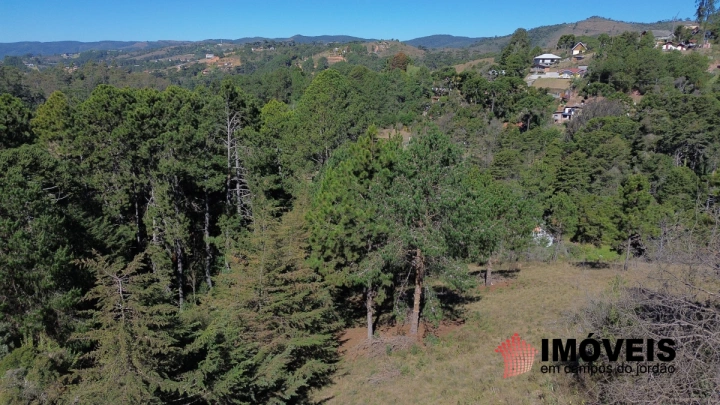 Terreno/Lote Residencial para Venda - Campos do Jordão, Vila Chantal - REF: TE0104 Imagem da galeria de fotos: Terreno/Lote Residencial para Venda - Campos do Jordão, Vila Chantal - REF: TE0104