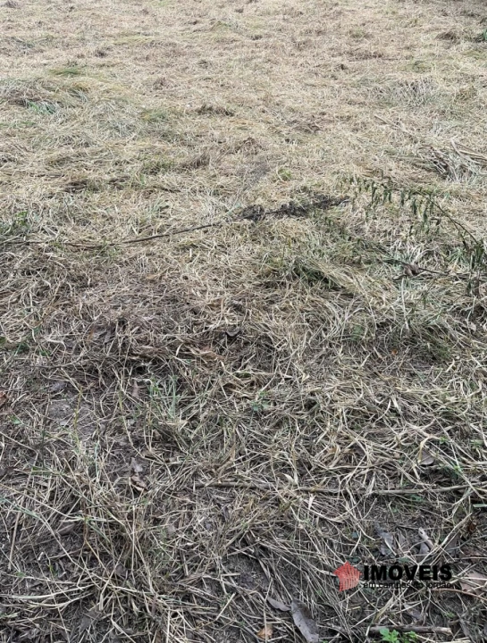 Terreno/Lote Rural para Venda - Taubaté, Piracangaguá - REF: TE0105 Imagem da galeria de fotos: Terreno/Lote Rural para Venda - Taubaté, Piracangaguá - REF: TE0105