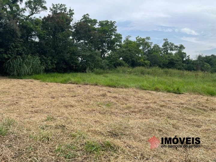 Terreno/Lote Rural para Venda - Taubaté, Piracangaguá - REF: TE0105 Imagem da galeria de fotos: Terreno/Lote Rural para Venda - Taubaté, Piracangaguá - REF: TE0105