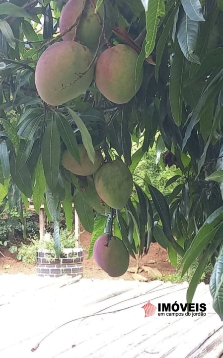 Chácara Residencial para Venda - Sapucaí-Mirim, Sapucaí Mirim - REF: CH0008 Imagem da galeria de fotos: Chácara Residencial para Venda - Sapucaí-Mirim, Sapucaí Mirim - REF: CH0008