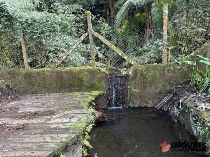 Casa Residencial para Venda - Campos do Jordão, Vila Inglesa - REF: CA0332 Imagem da galeria de fotos: Casa Residencial para Venda - Campos do Jordão, Vila Inglesa - REF: CA0332