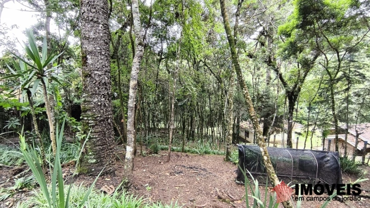 Imagem da galeria de fotos: Casa Residencial para Venda - Campos do Jordão, Jardim das Flores - REF: CA0319