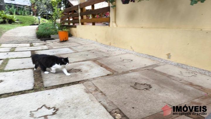 Imagem da galeria de fotos: Casa Residencial para Venda - Campos do Jordão, Jardim das Flores - REF: CA0319