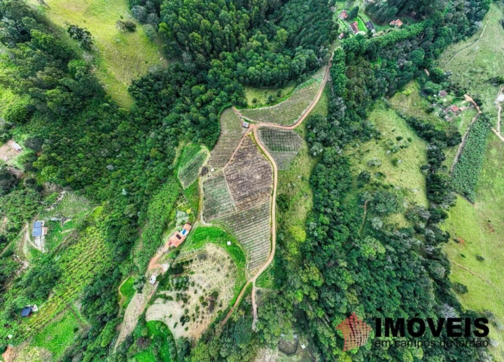 Fazenda Rural para Venda - São Bento do Sapucaí, José da Rosa - REF: FA0003 Imagem da galeria de fotos: Fazenda Rural para Venda - São Bento do Sapucaí, José da Rosa - REF: FA0003