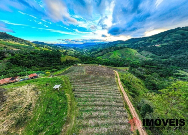 Fazenda Rural para Venda - São Bento do Sapucaí, José da Rosa - REF: FA0003 Imagem da galeria de fotos: Fazenda Rural para Venda - São Bento do Sapucaí, José da Rosa - REF: FA0003