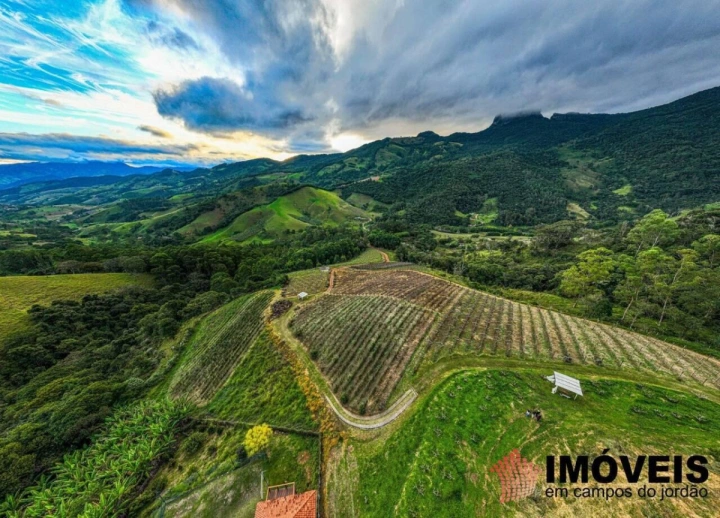 Fazenda Rural para Venda - São Bento do Sapucaí, José da Rosa - REF: FA0003 Imagem da galeria de fotos: Fazenda Rural para Venda - São Bento do Sapucaí, José da Rosa - REF: FA0003
