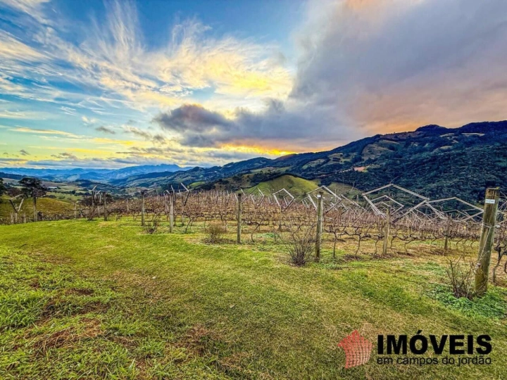 Fazenda Rural para Venda - São Bento do Sapucaí, José da Rosa - REF: FA0003 Imagem da galeria de fotos: Fazenda Rural para Venda - São Bento do Sapucaí, José da Rosa - REF: FA0003