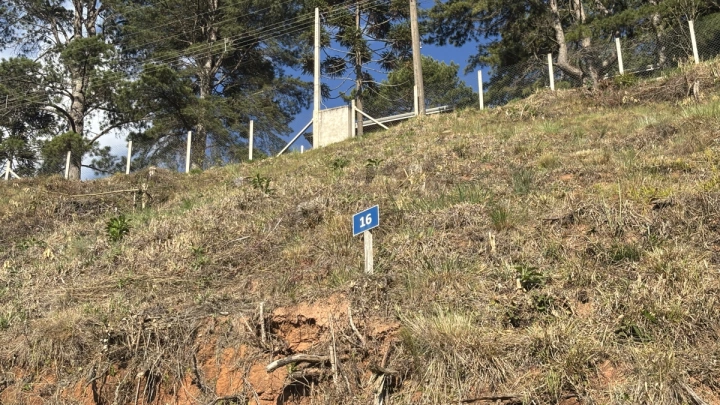 Terreno/Lote Residencial para Venda - Campos do Jordão, Atalaia - REF: TE0119 Imagem da galeria de fotos: Terreno/Lote Residencial para Venda - Campos do Jordão, Atalaia - REF: TE0119