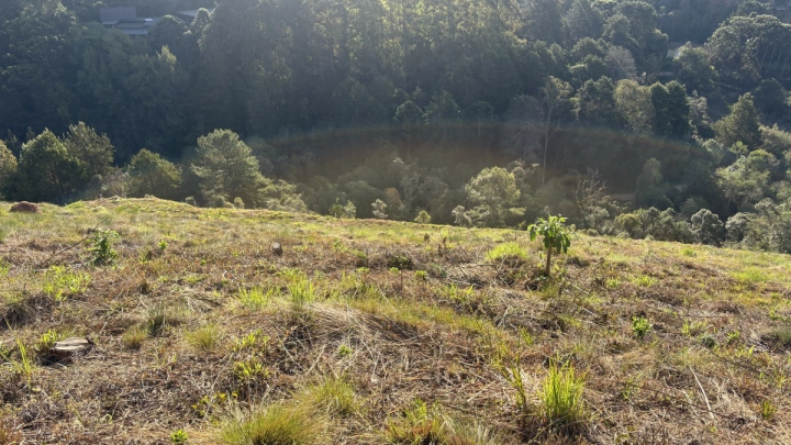Terreno/Lote Residencial para Venda - Campos do Jordão, Atalaia - REF: TE0118 Imagem da galeria de fotos: Terreno/Lote Residencial para Venda - Campos do Jordão, Atalaia - REF: TE0118