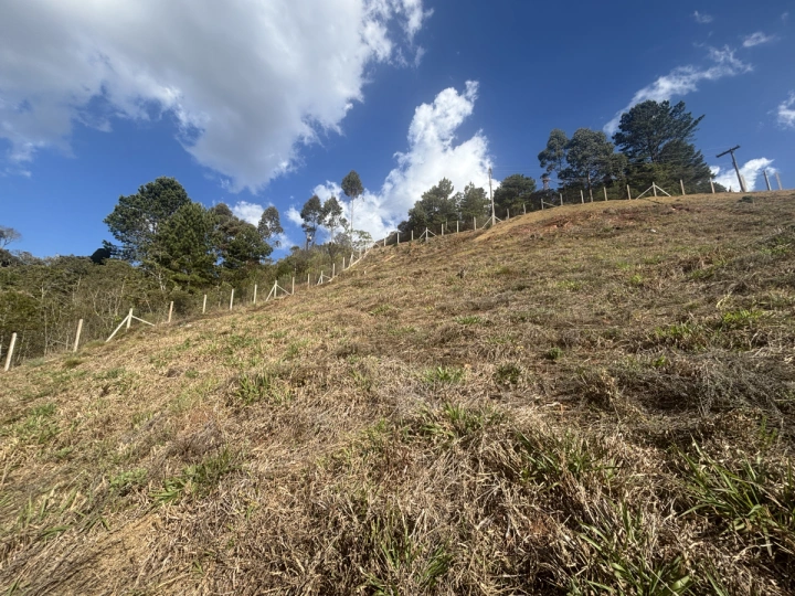 Terreno/Lote Residencial para Venda - Campos do Jordão, Atalaia - REF: TE0114 Imagem da galeria de fotos: Terreno/Lote Residencial para Venda - Campos do Jordão, Atalaia - REF: TE0114