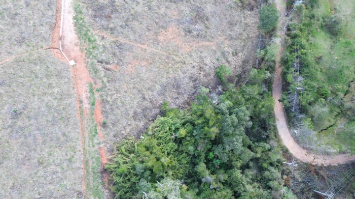 Imagem da galeria de fotos: Terreno/Lote Residencial para Venda - Campos do Jordão, Atalaia - REF: TE0113