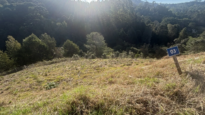 Terreno/Lote Residencial para Venda - Campos do Jordão, Atalaia - REF: TE0123 Imagem da galeria de fotos: Terreno/Lote Residencial para Venda - Campos do Jordão, Atalaia - REF: TE0123