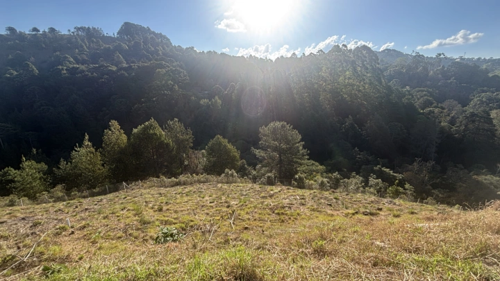 Terreno/Lote Residencial para Venda - Campos do Jordão, Atalaia - REF: TE0123 Imagem da galeria de fotos: Terreno/Lote Residencial para Venda - Campos do Jordão, Atalaia - REF: TE0123