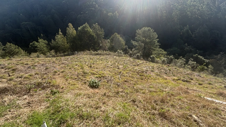 Terreno/Lote Residencial para Venda - Campos do Jordão, Atalaia - REF: TE0123 Imagem da galeria de fotos: Terreno/Lote Residencial para Venda - Campos do Jordão, Atalaia - REF: TE0123