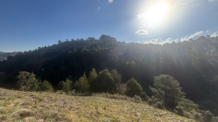 Terreno/Lote Residencial para Venda - Campos do Jordão, Atalaia - REF: TE0123 Imagem da galeria de fotos: Terreno/Lote Residencial para Venda - Campos do Jordão, Atalaia - REF: TE0123