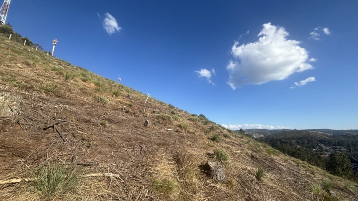 Terreno/Lote Residencial para Venda - Campos do Jordão, Atalaia - REF: TE0122 Imagem da galeria de fotos: Terreno/Lote Residencial para Venda - Campos do Jordão, Atalaia - REF: TE0122