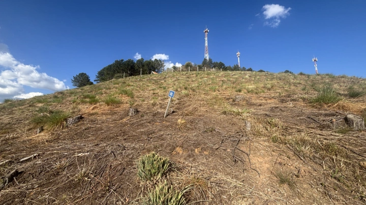 Terreno/Lote Residencial para Venda - Campos do Jordão, Atalaia - REF: TE0122 Imagem da galeria de fotos: Terreno/Lote Residencial para Venda - Campos do Jordão, Atalaia - REF: TE0122