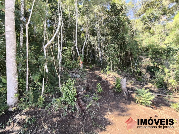 Pousada Comercial para Venda - Campos do Jordão, Colinas Do Imbiry - REF: PO0006 Imagem da galeria de fotos: Pousada Comercial para Venda - Campos do Jordão, Colinas Do Imbiry - REF: PO0006